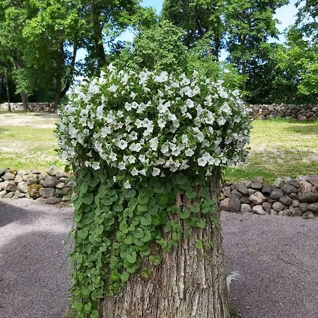 Mois Apartamento Paslepa